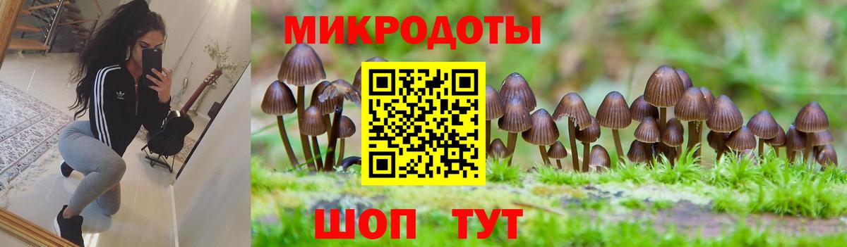 Псилоцибиновые грибы Cubensis  Вход с VPN  Галлюциногенные грибы мицелий  Химки 